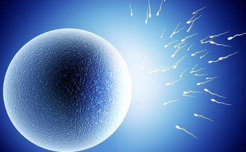 好孕案例